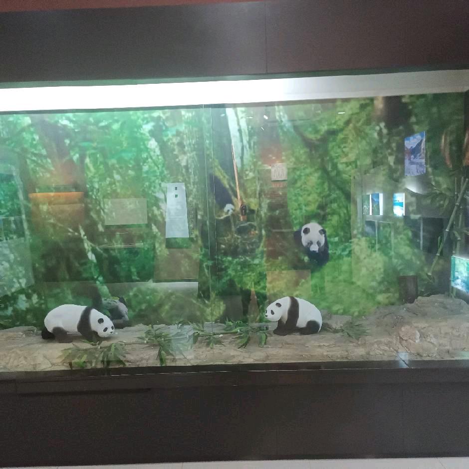 遇见你是我的缘分