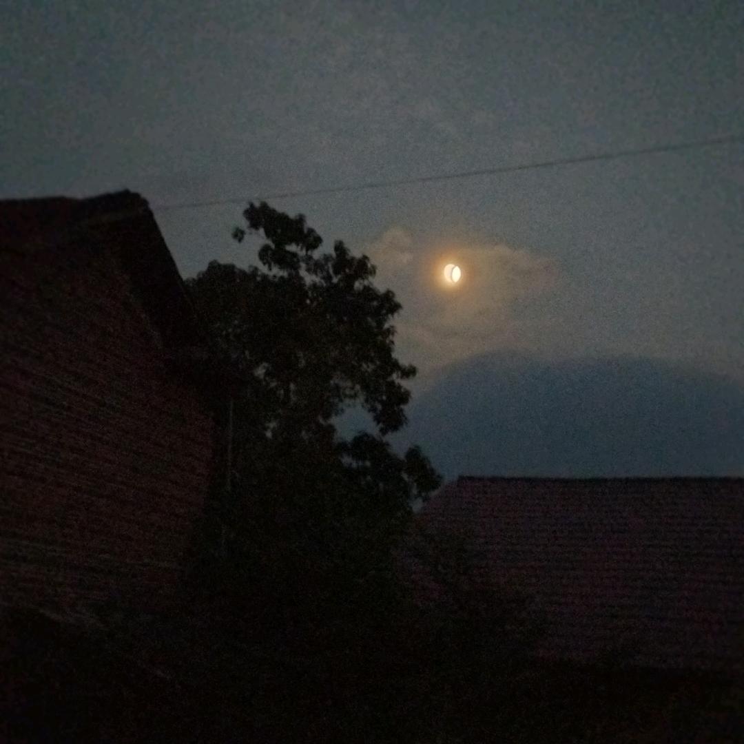 背影