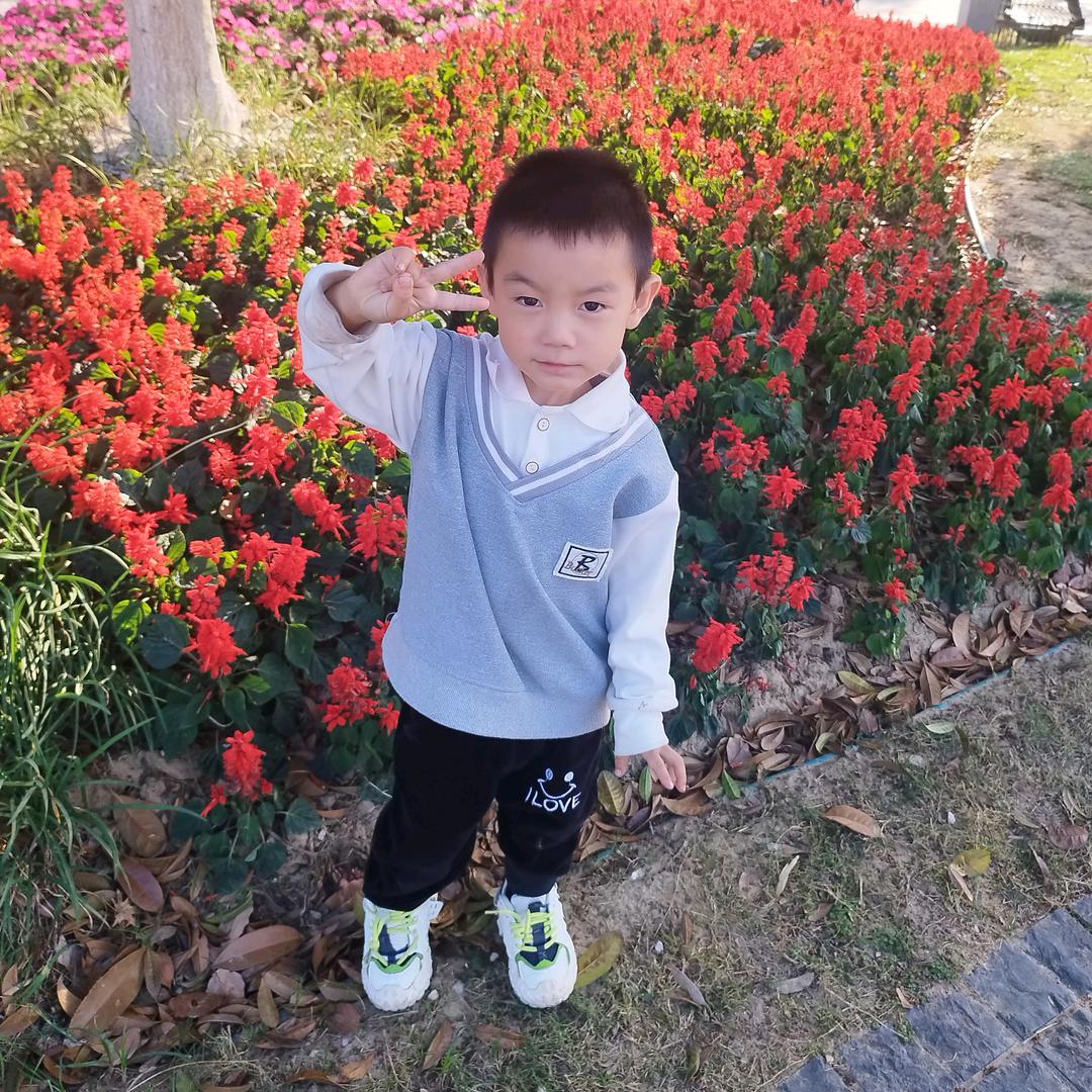 杨扬嘚噫