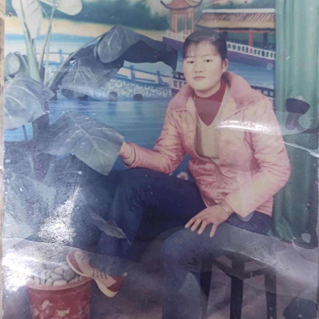 小燕子混凝土突击队。