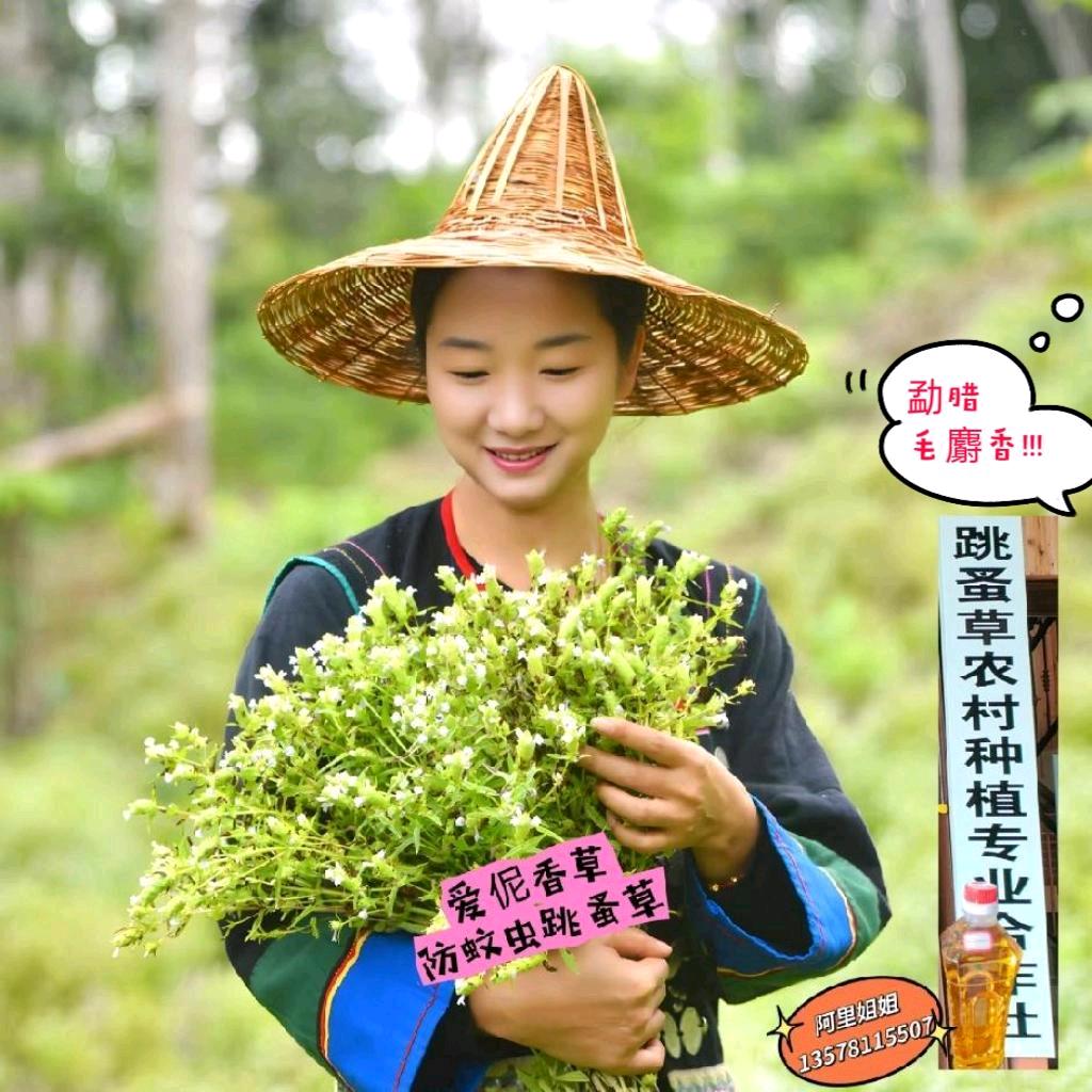 阿里姐姐的哈尼非遗传承