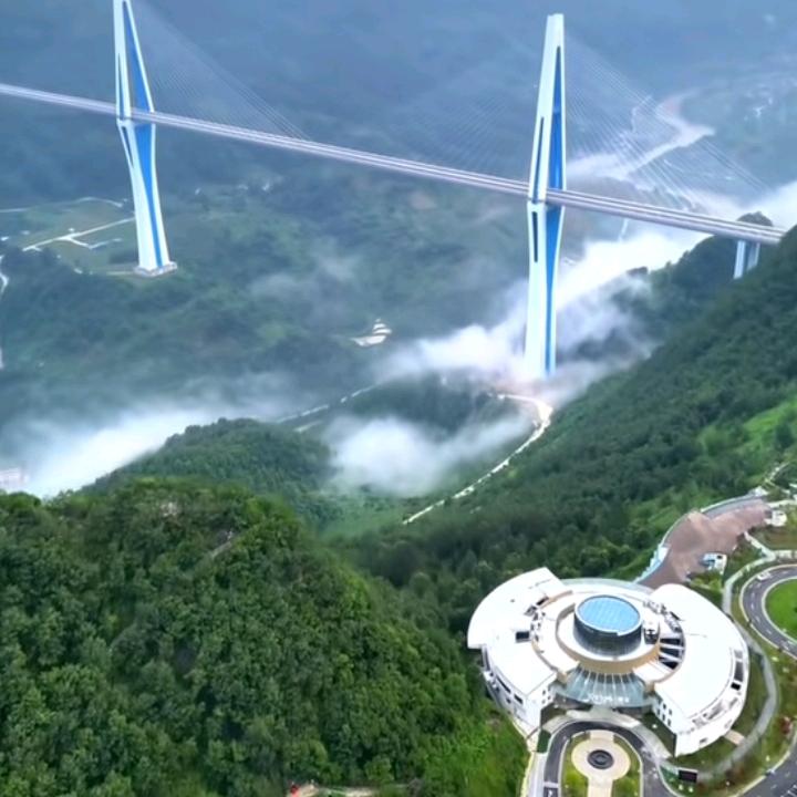 山虎哥