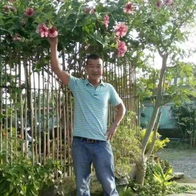 回头浪子