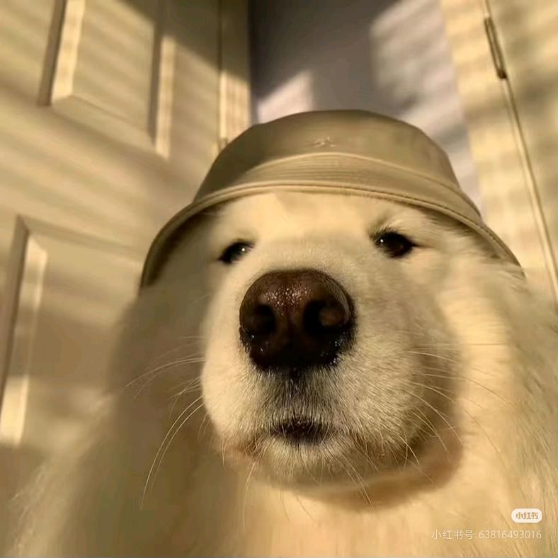 阿宁（酷家乐效果图表现）