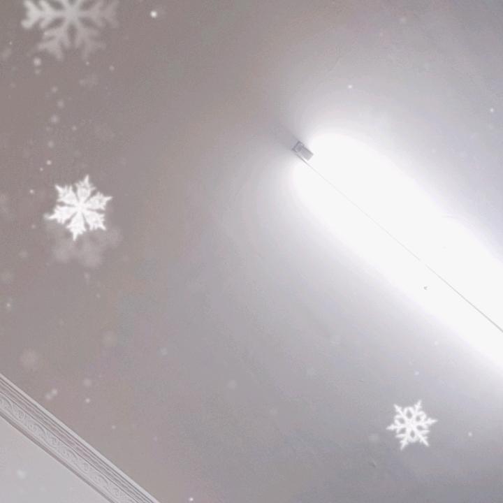 鹏哥哥5555头像