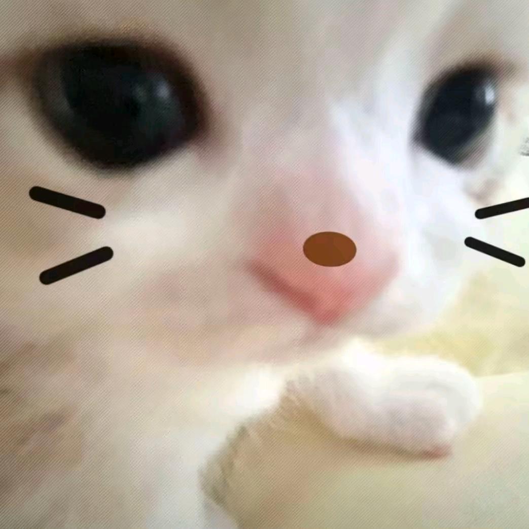 清语（三角洲行动）