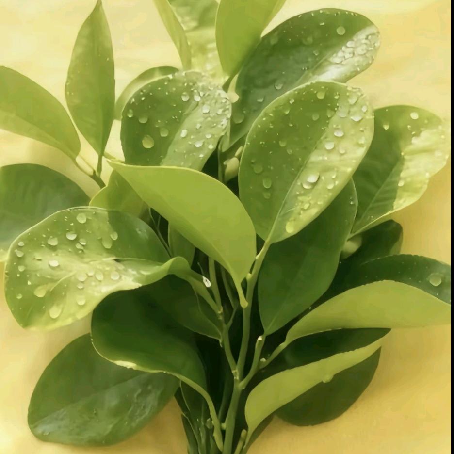 武商服饰广场(永丰店）