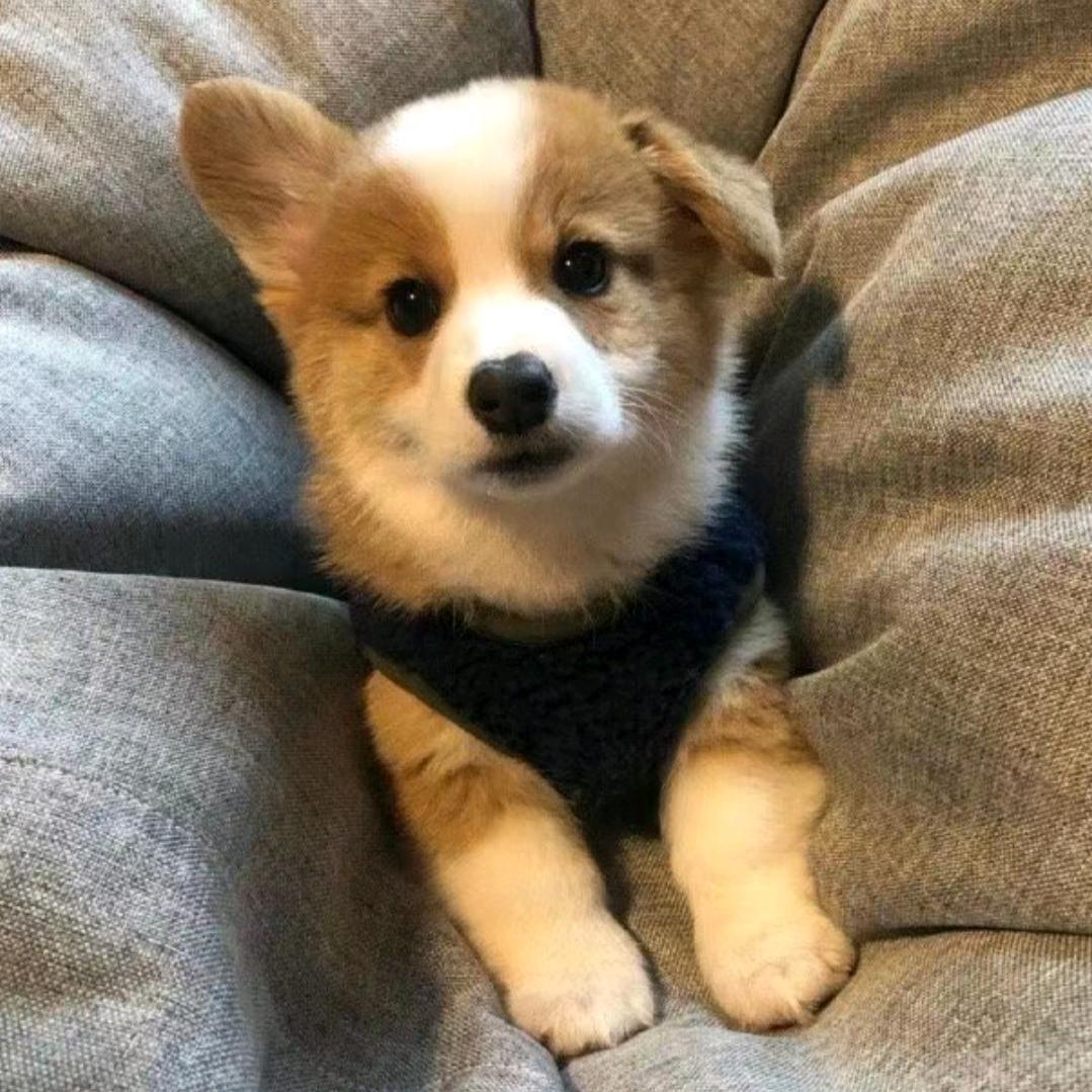 糖🍬🍬
