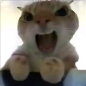 三角洲代肝哈弗币