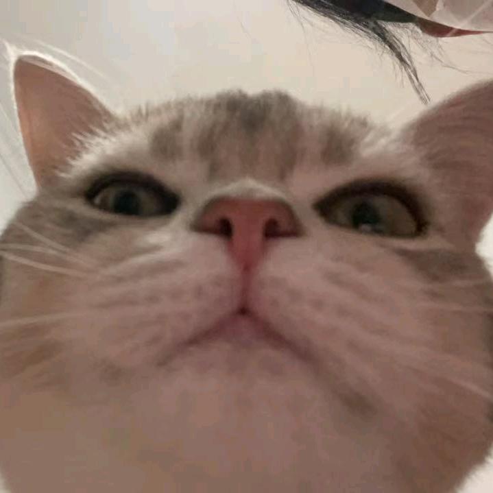 阿斯巴甜