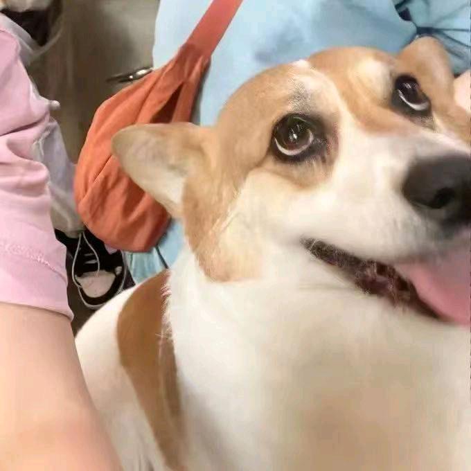 靓仔啊