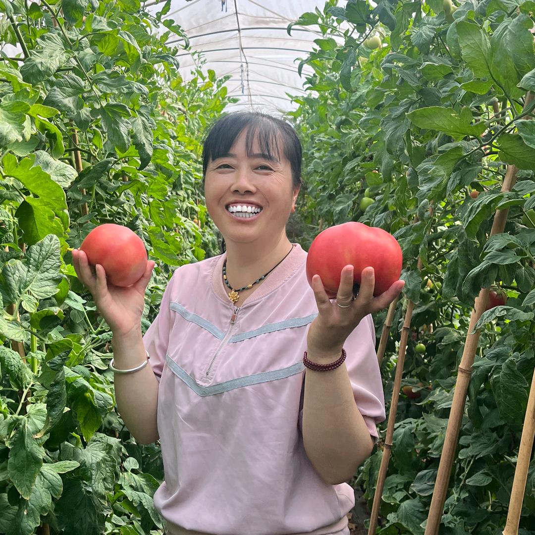 玉溪金顺农资金梅