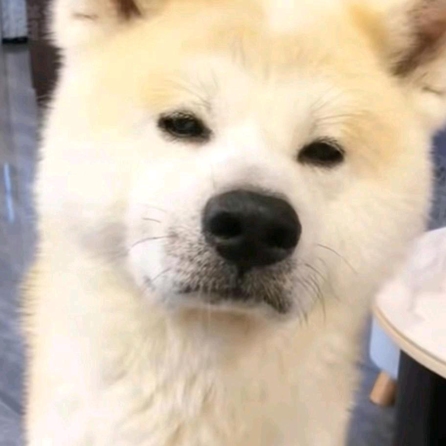 嗯？