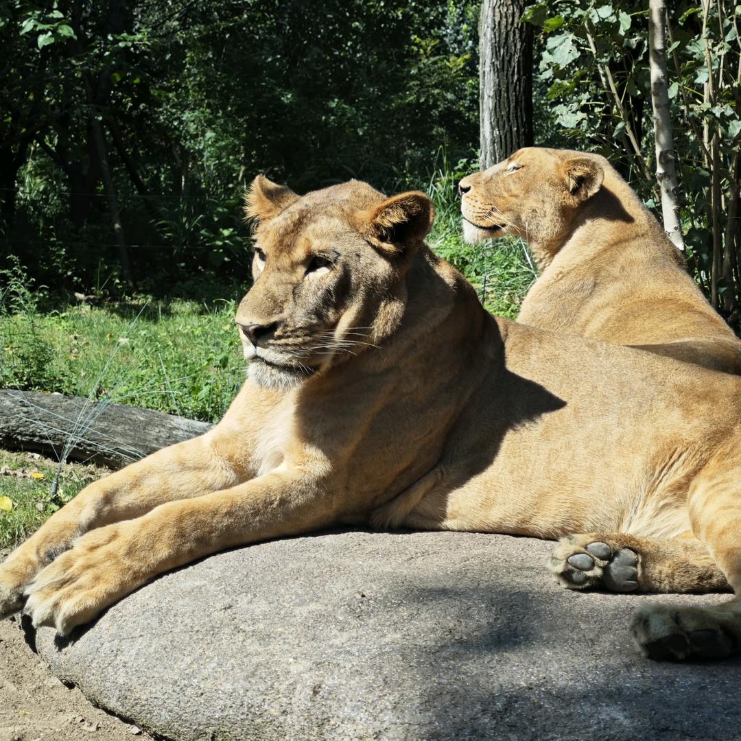阿东的快乐生活