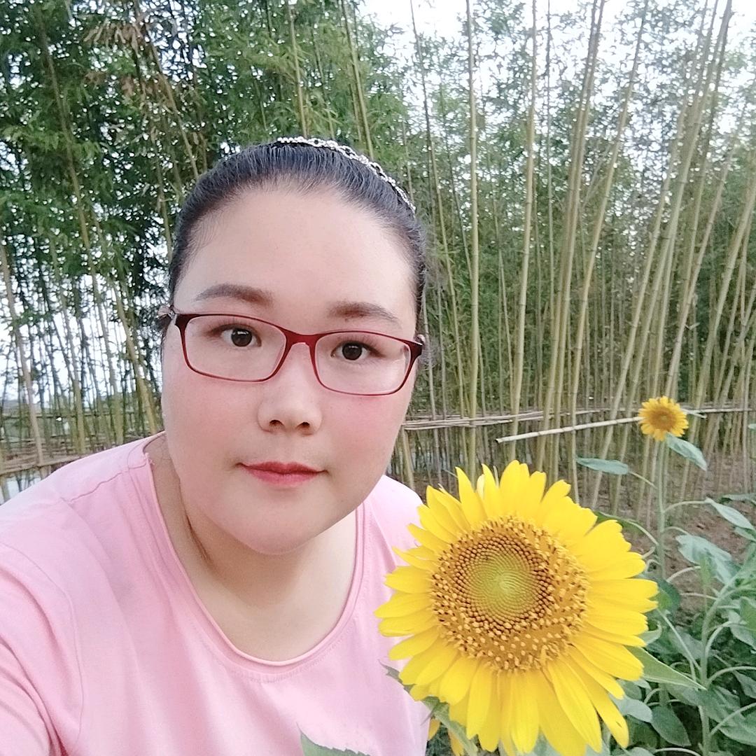 南风知我意