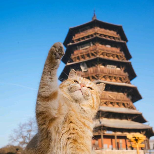 谁也不是谁的谁
