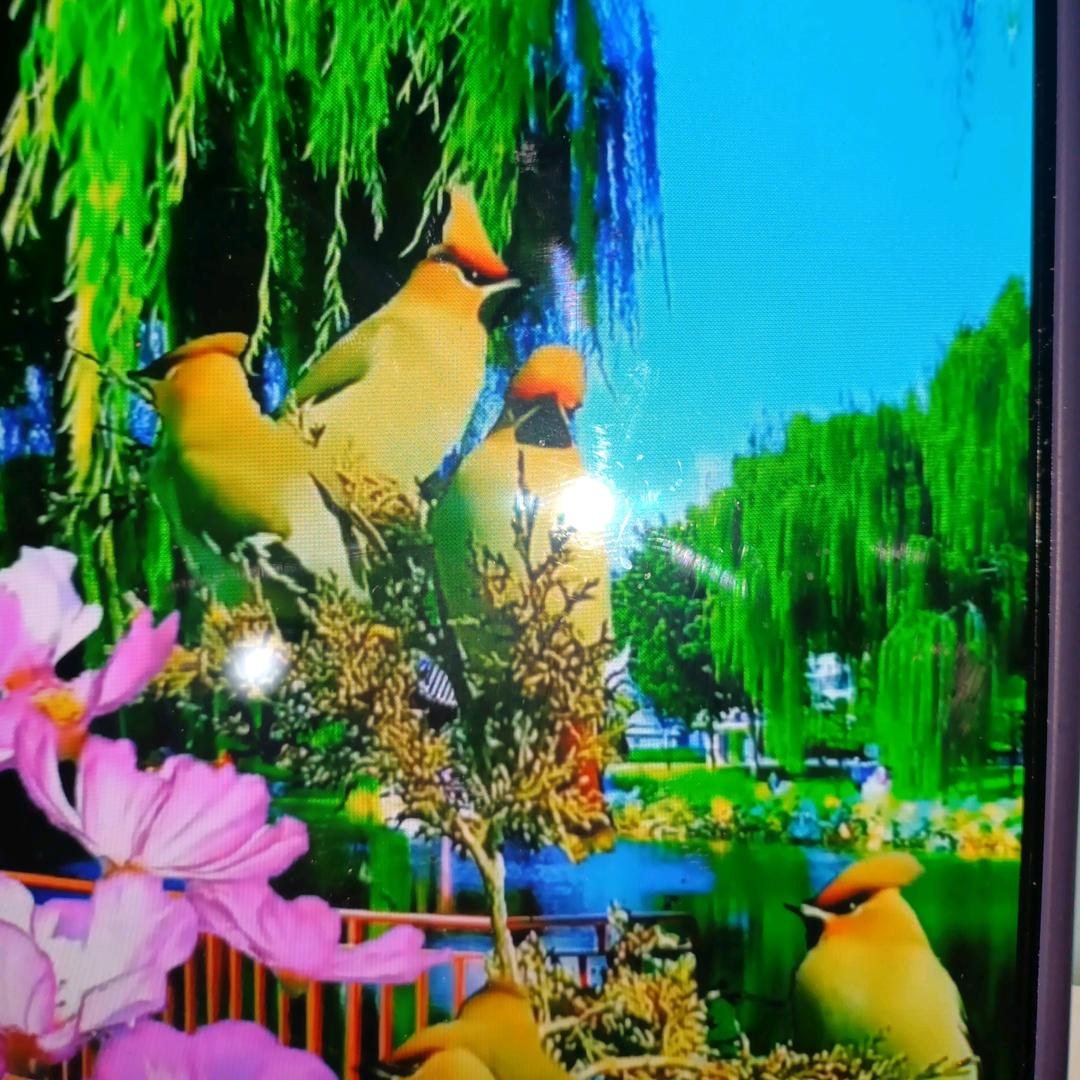 一诺千金