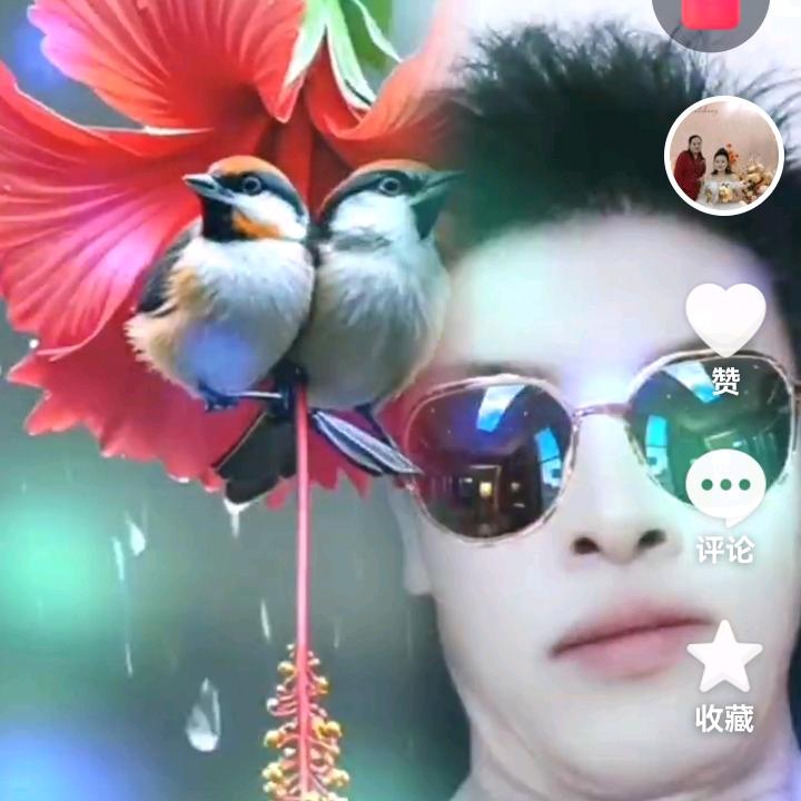 龙哥闯天下