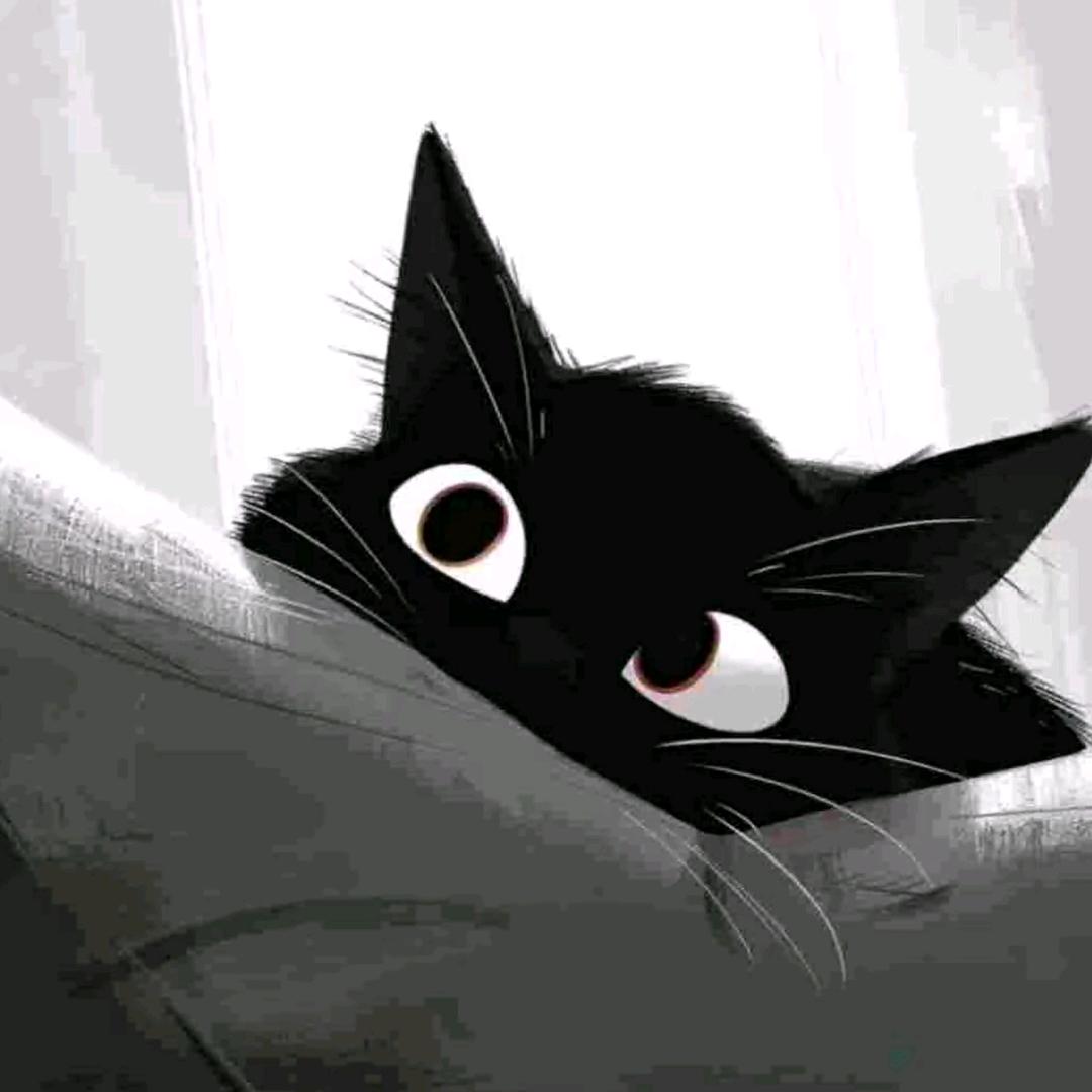 小天学长（武职大版）