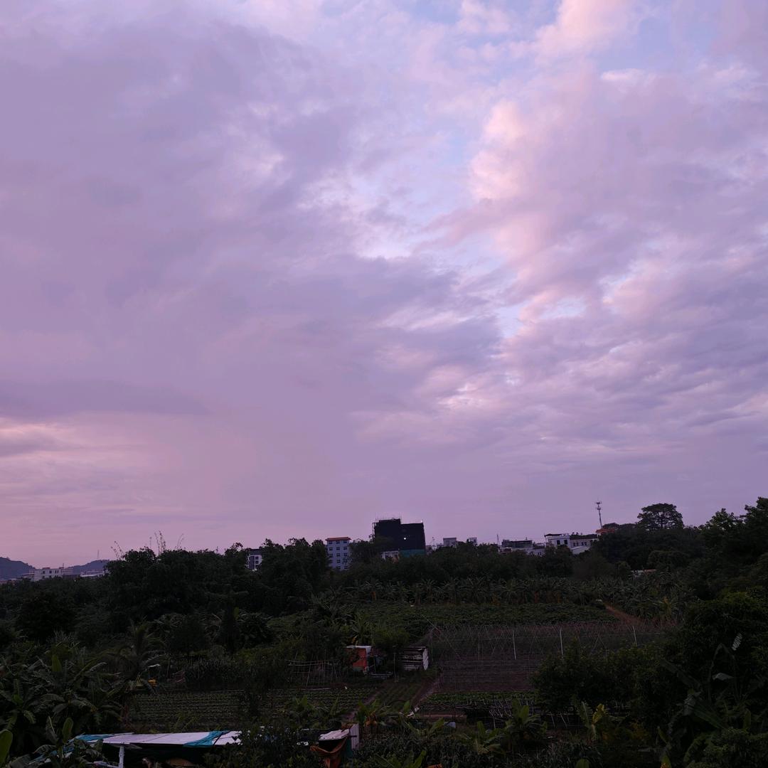 有芯没废