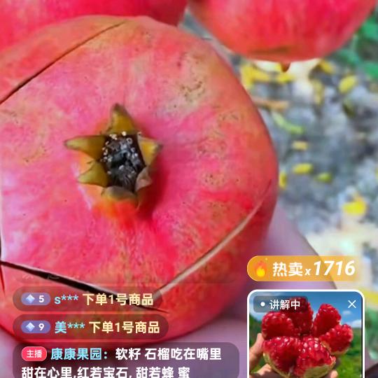 燕姐直达