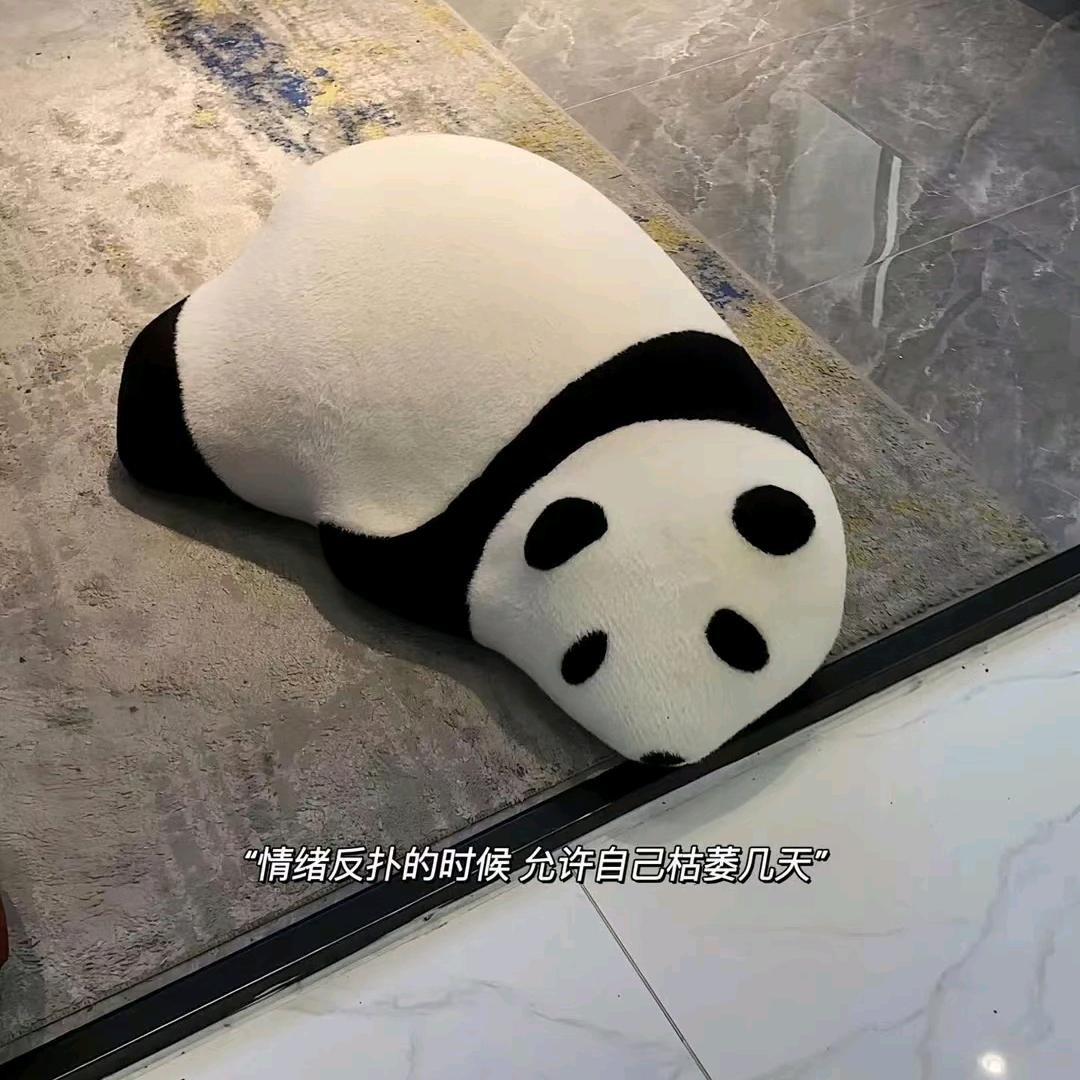 冬瓜•