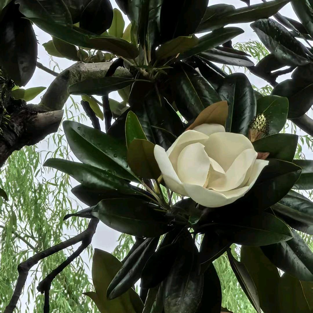 主打聊天，拒绝私聊