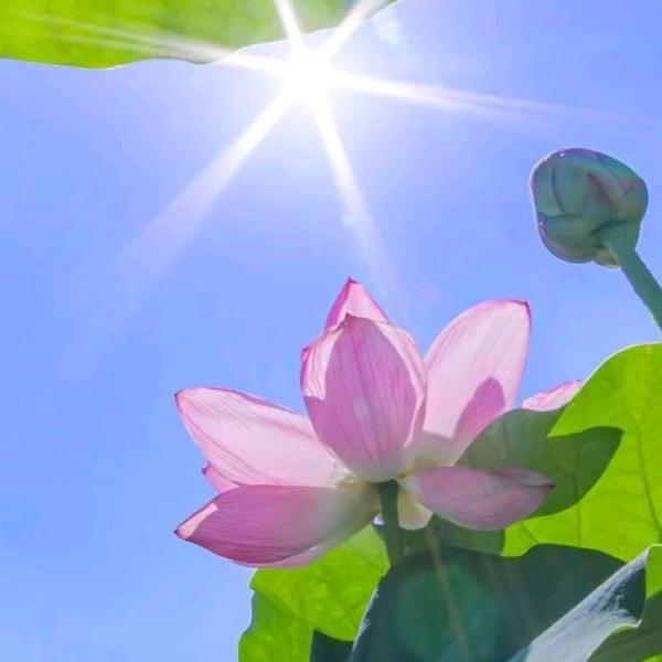 美丽✅