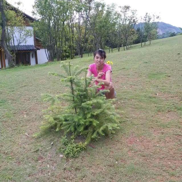 我是不是你的菜