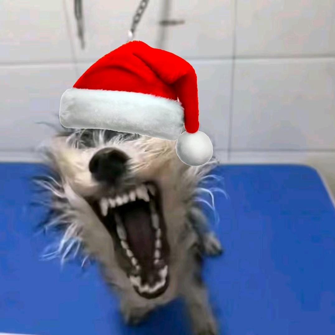 我这头像包不好惹的