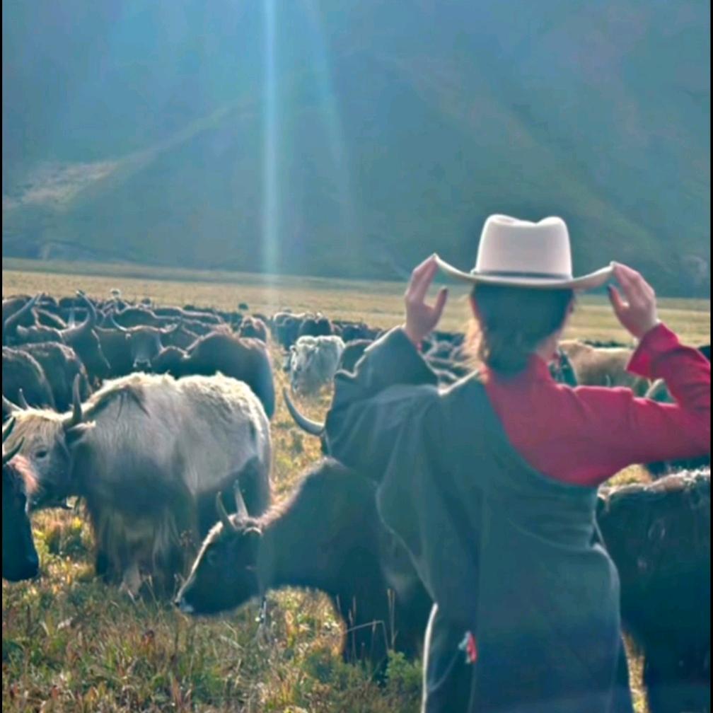 ࿐措塔🎋朋友圈