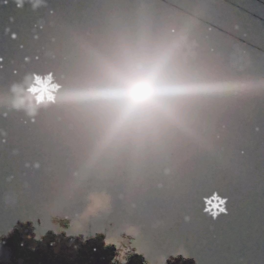 免谈⁵²⁸⁸🌸