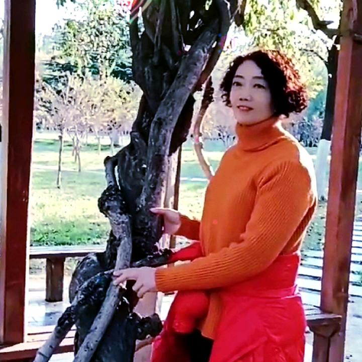 小布丁~拒合拍拒聊