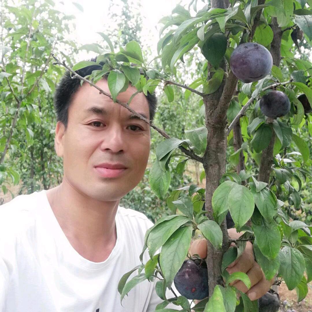 珍惜缘分。张虎。