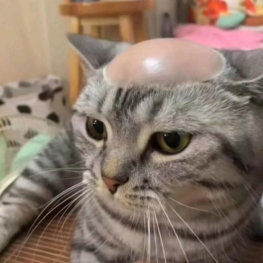 闲妞爱追剧