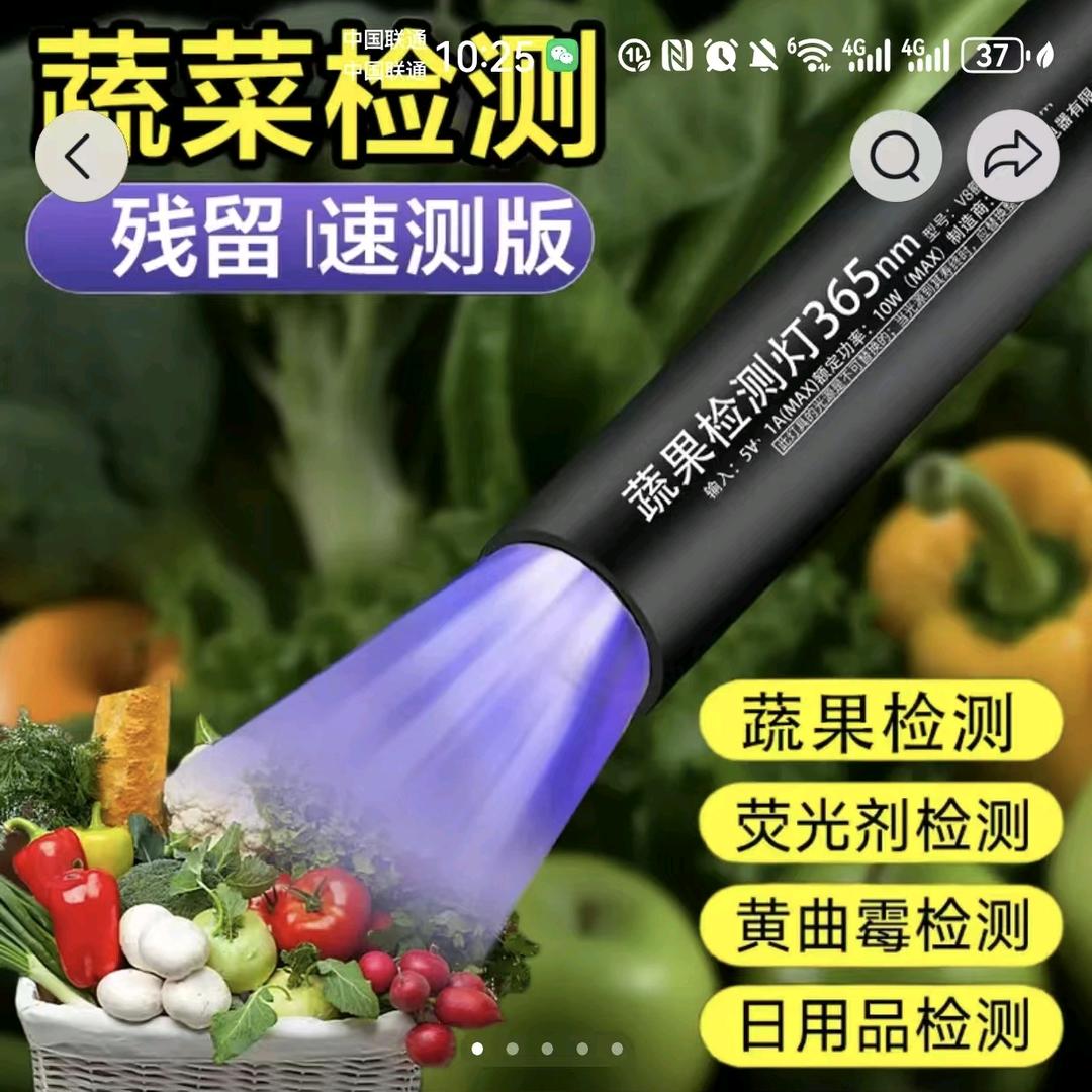 甄漳