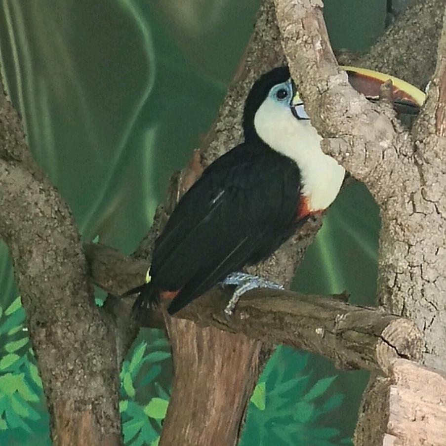 🍒时光꧔安好🌸