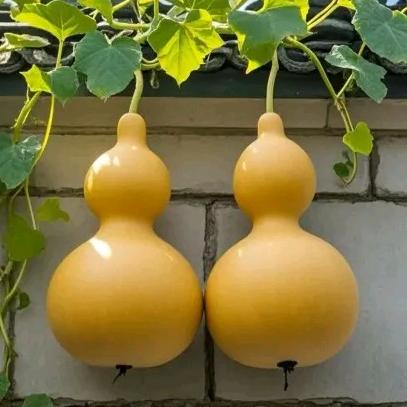 总有刁民想害朕