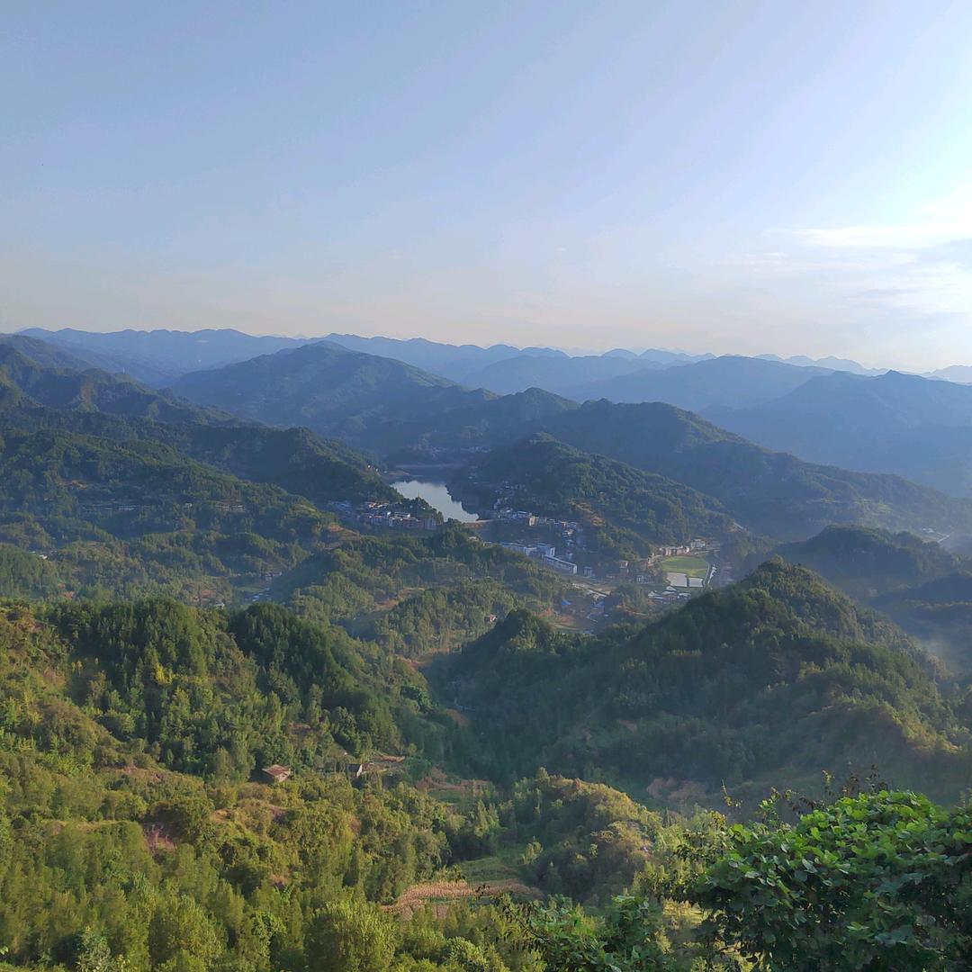 骑着电驴做面条(佰斯帝门窗)