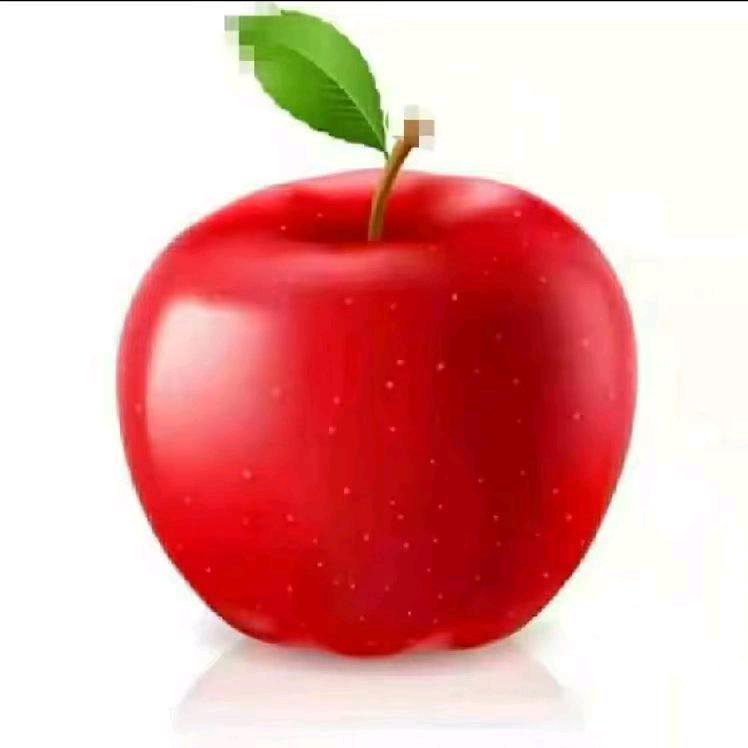 胡凯迪沙驰店141319