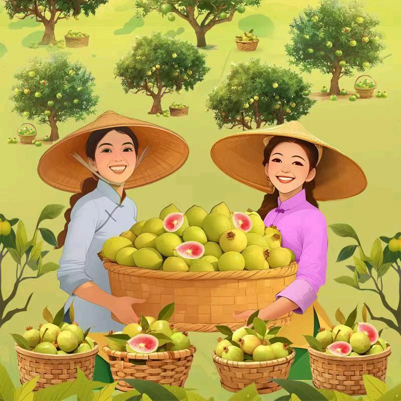 瑶姐妹芭乐