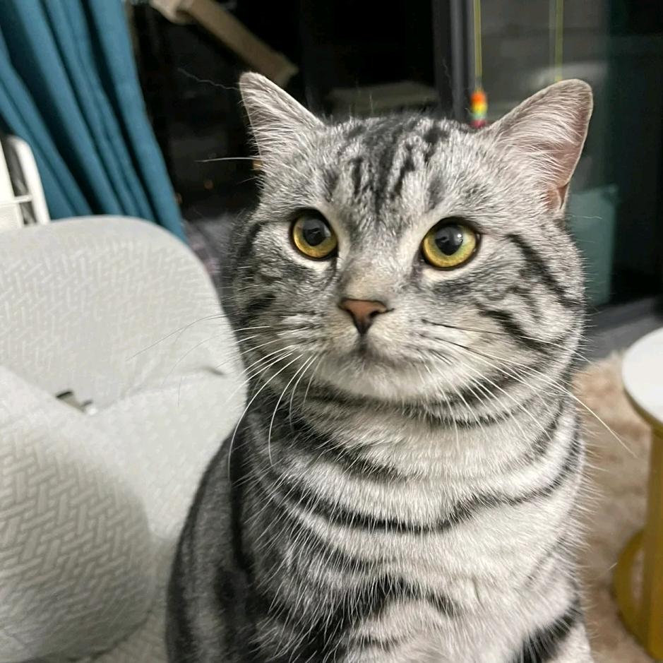 📷大“疯”锅—疯子