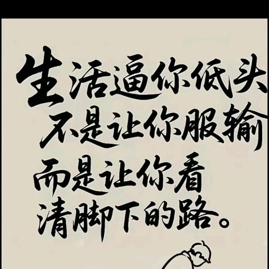 石材搬运工蔡蔡
