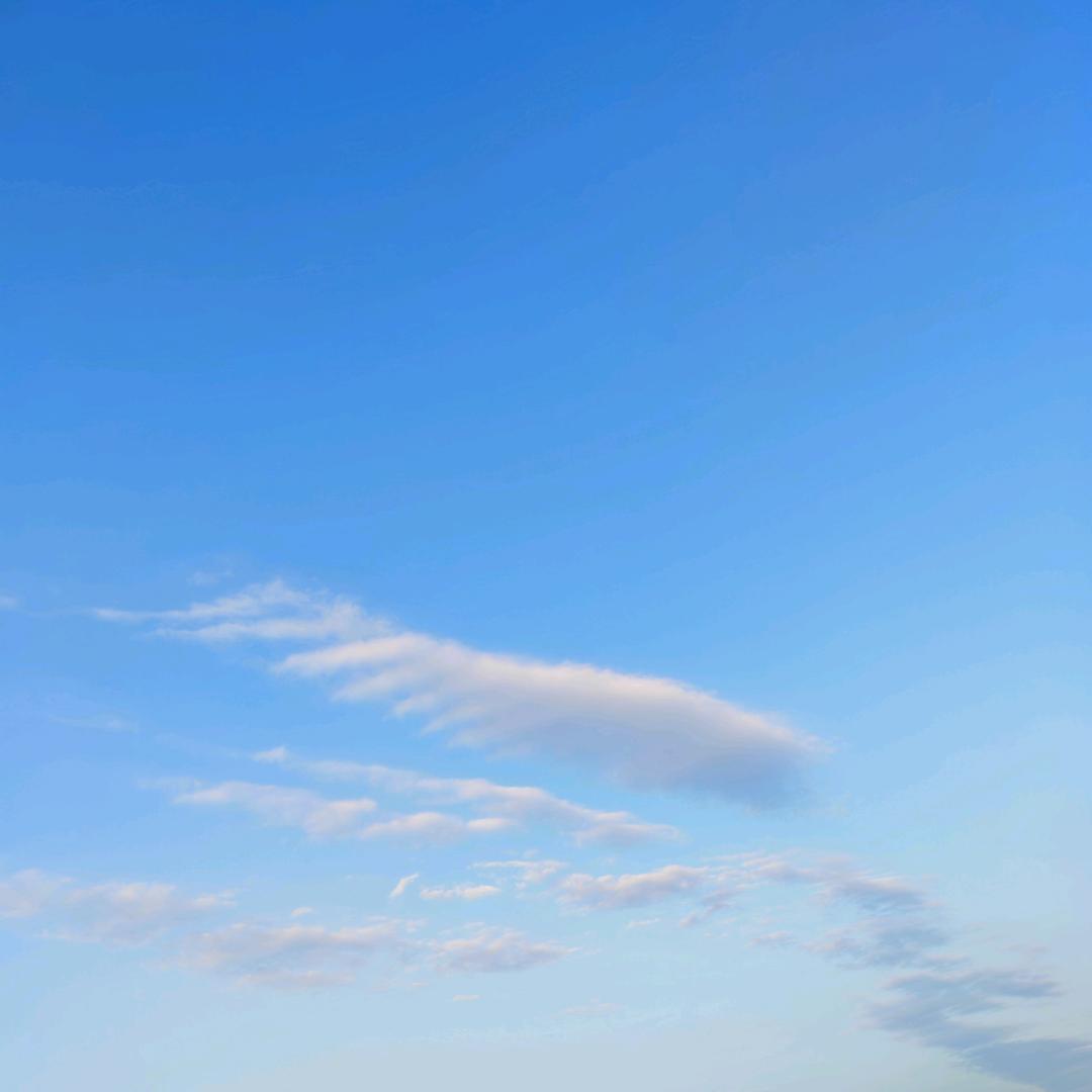 清娆