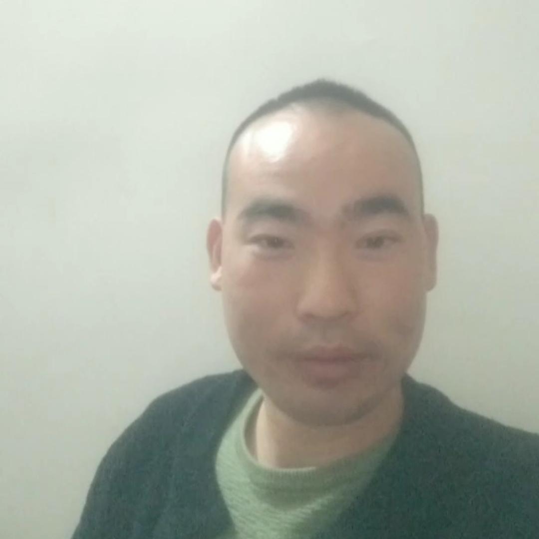 毛毛毛毛好多毛