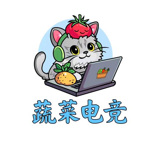 蔬菜电竞店长番茄（招pc高手）
