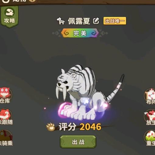 石器时代老郑