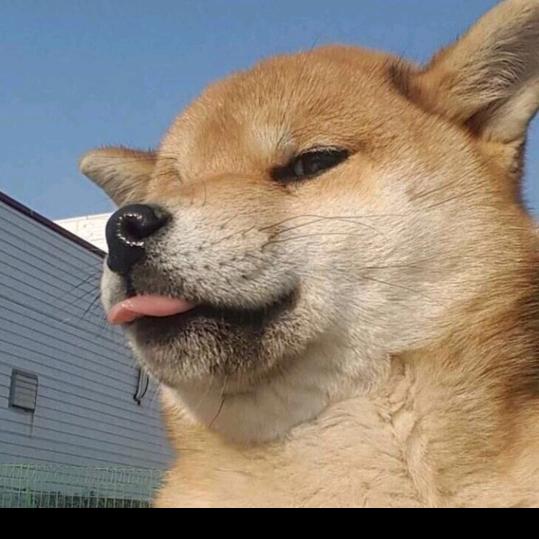 可乐