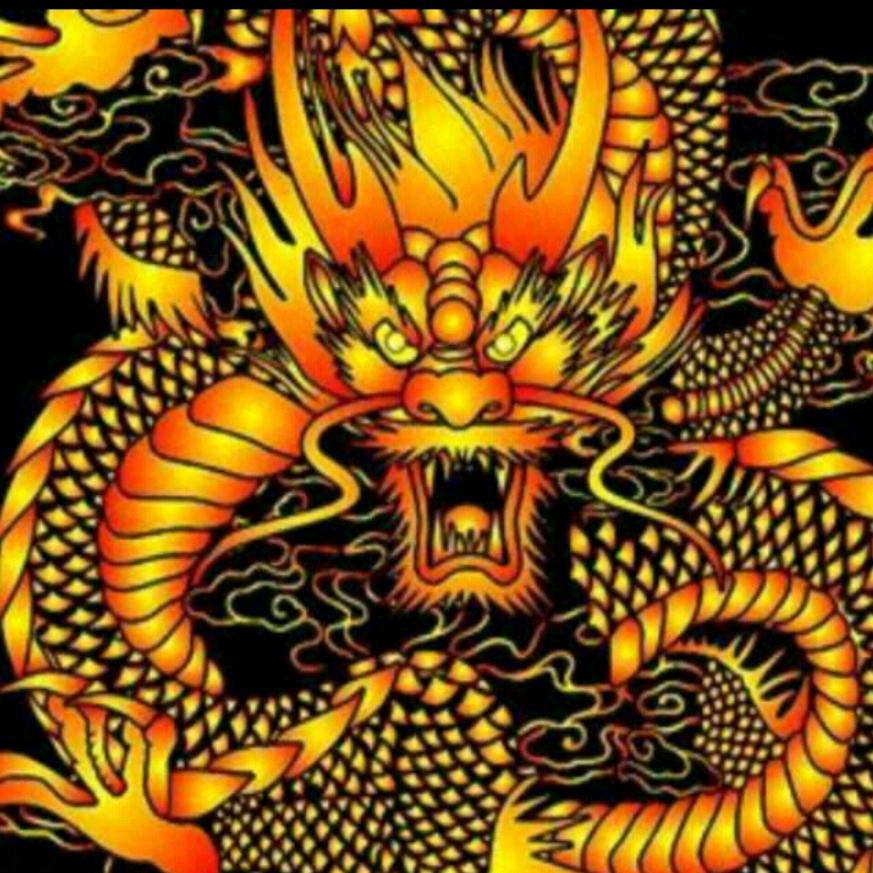 ༺龙飞༻