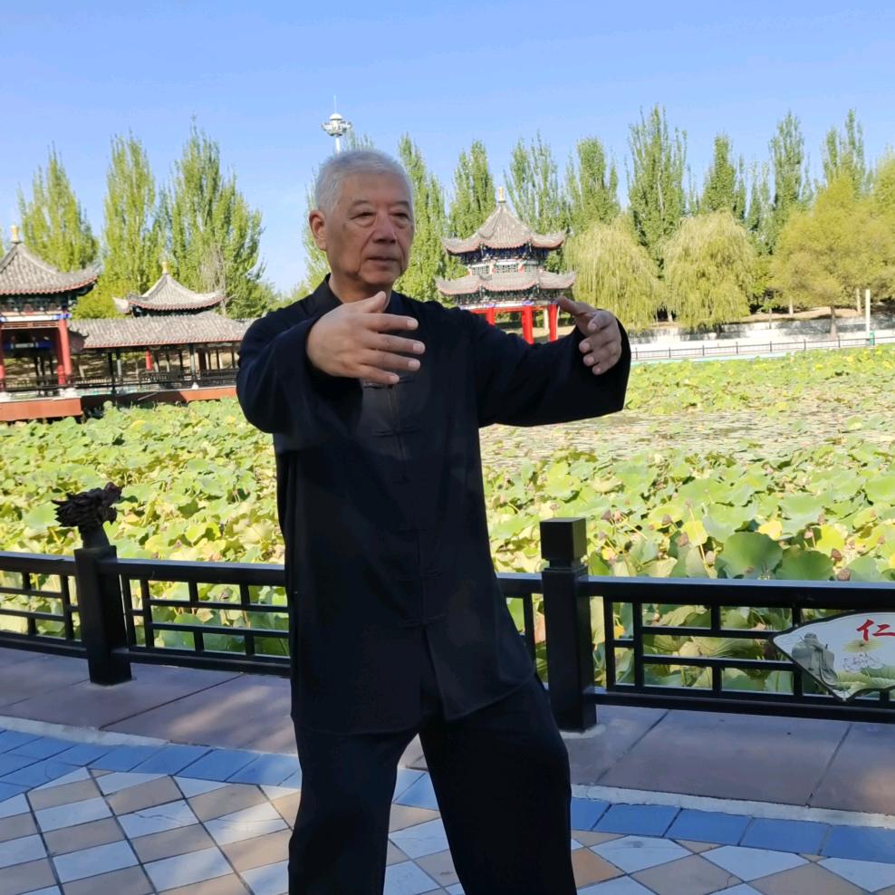 毛坚苇传统太极拳